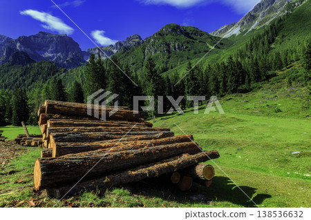 Stacked timber logs in alpine landscape with forest and mountains Stacked timber logs in alpine landscape with forest and mountains 138536632