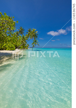 Tranquil tropical paradise beach with sweeping ocean view, lush exotic nature and idyllic summer vacation scenery Tranquil tropical paradise beach with sweeping ocean view, lush exotic nature and idyllic summer vacation scenery 138536745