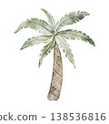 Coconut Tree. Safari palm illustration. Savanna wildlife landscape elements for nursery, jungle wallpaper, textile print and Africa themed design projects. Transparent background. 138536816