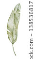 Single lush green banana leaf. Hand painted watercolor botanical illustration. Tropical leaves for fabric, cards, invitations, weddings and Safari birthday. Transparent background 138536817