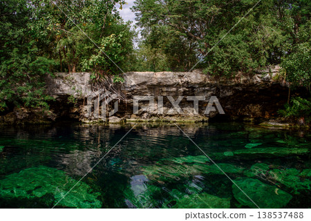 Lush ferns frame serene entrance to hidden underground water cave Lush ferns frame serene entrance to hidden underground water cave 138537488
