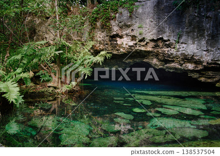 Lush ferns frame serene entrance to hidden underground water cave Lush ferns frame serene entrance to hidden underground water cave 138537504