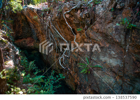 Ancient cenote entrance with dramatic tree roots Ancient cenote entrance with dramatic tree roots 138537590