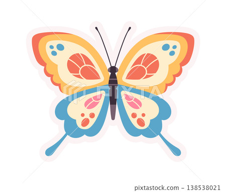 Butterfly Symmetry With Decorative Wings Cartoon Butterfly Symmetry With Decorative Wings Cartoon 138538021
