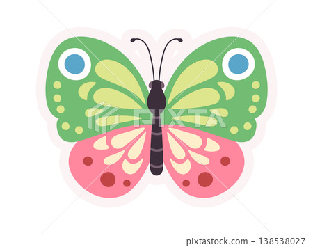 Butterfly With Patterned Wings Cartoon Style Butterfly With Patterned Wings Cartoon Style 138538027