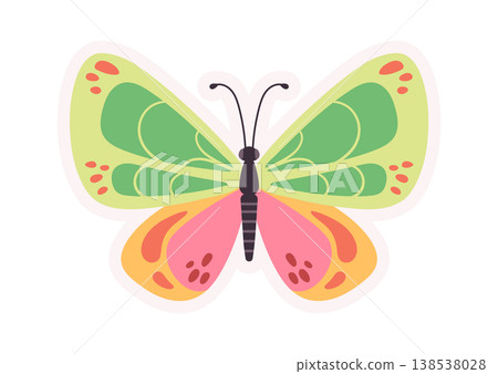 Butterfly Spread Wings Symmetry Cartoon Butterfly Spread Wings Symmetry Cartoon 138538028