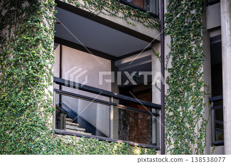 Green tropical plants climbing on wall of residential building, exotic plants covering facade. Green tropical plants climbing on wall of residential building, exotic plants covering facade. 138538077