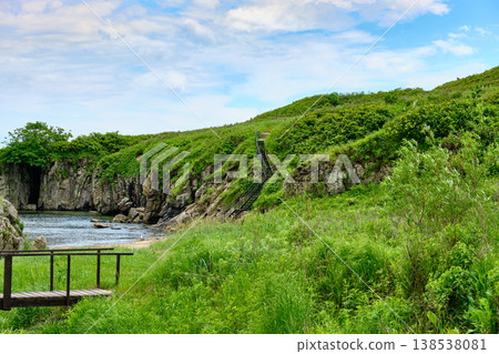The nature of the Khasansky district of Primorsky Krai, Russia. The lip of the Teal of the Slavic Bay, the inner bay of Peter the Great in the summer. The nature of the Khasansky district of Primorsky Krai, Russia. The lip of the Teal of the Slavic Bay, the inner bay of Peter the Great in the summer. 138538081