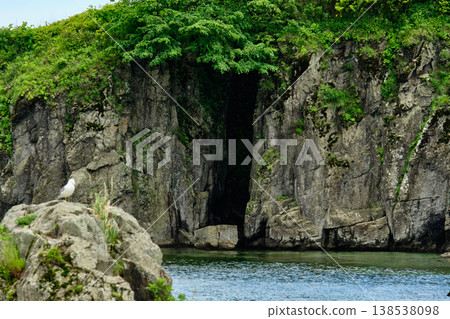 The nature of the Khasansky district of Primorsky Krai, Russia. The lip of the Teal of the Slavic Bay, the inner bay of Peter the Great in the summer. The nature of the Khasansky district of Primorsky Krai, Russia. The lip of the Teal of the Slavic Bay, the inner bay of Peter the Great in the summer. 138538098