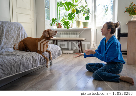 Happy mature woman playing throw and catch ball game with beloved pet in living room at home. Happy mature woman playing throw and catch ball game with beloved pet in living room at home. 138538293