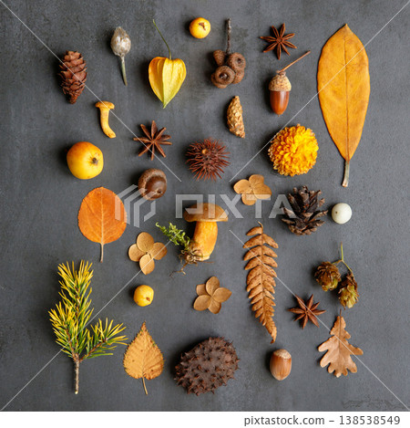Top view of wild berries, dry leaves and flowers sprig of pine, hazel nuts on navy blue background Top view of wild berries, dry leaves and flowers sprig of pine, hazel nuts on navy blue background 138538549