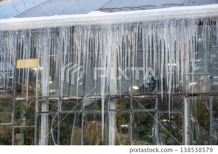 Glasshouse roof covered with huge icicles during cold winter season outdoors. Spring thaw.  138538579