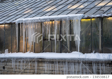 Glasshouse roof covered with huge icicles during cold winter season outdoors. Spring thaw.  138538617