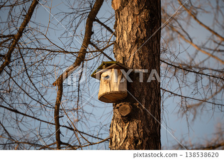 Handmade wooden nest box attached to tree, special place for wintering birds organized in city parks Handmade wooden nest box attached to tree, special place for wintering birds organized in city parks 138538620