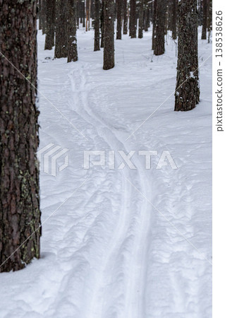 Ski trail through pine forest covered in snow. Snowy pathway trek surrounded by trees Ski trail through pine forest covered in snow. Snowy pathway trek surrounded by trees 138538626