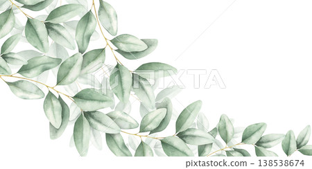 Eucalyptus leaves elegant frame. Watercolor hand drawn illustration. Motion composition isolated on white. Botanical painting with copy space for greeting cards, wedding invitations, print, stationery 138538674