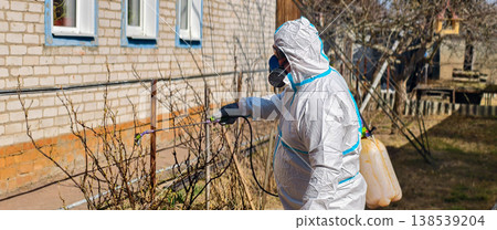 Person in a white protective suit and respirator, wearing gloves, spraying chemicals on bare bushes in a garden for disinfection and pest control during early spring. Person in a white protective suit and respirator, wearing gloves, spraying chemicals on bare bushes in a garden for disinfection and pest control during early spring. 138539204