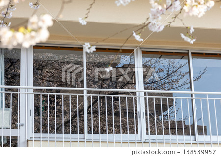Springtime, Asaka City, Saitama Prefecture: Streetscape, cherry blossoms reflected in the windows of a school building. Springtime, Asaka City, Saitama Prefecture: Streetscape, cherry blossoms reflected in the windows of a school building. 138539957