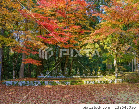 一幅描繪日本秋季寺廟景色的畫卷,畫面中色彩斑斕的秋葉和長滿青苔的石塔格外引人注目。 一幅描繪日本秋季寺廟景色的畫卷,畫面中色彩斑斕的秋葉和長滿青苔的石塔格外引人注目。 138540050