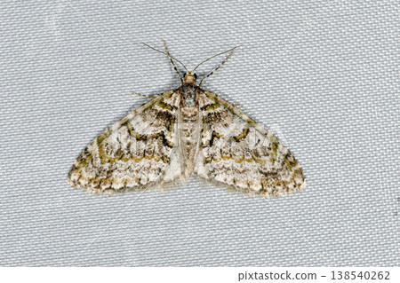 Usvenice Jinamishaku（北海道知床） 138540262