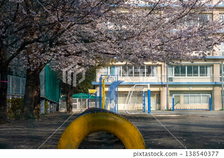 春日,埼玉縣朝霞市:街景,校園裡的櫻花。 春日,埼玉縣朝霞市:街景,校園裡的櫻花。 138540377
