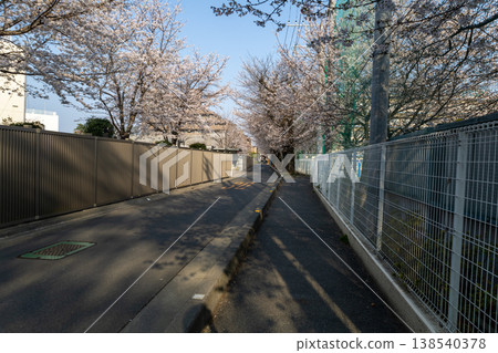 春日，埼玉縣朝霞市：街景，櫻花 138540378