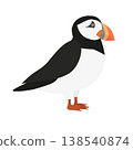 Vector flat puffin bird 138540874
