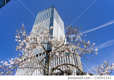 名古屋市、榮、城市景觀:地標名古屋榮和志修軒 名古屋市、榮、城市景觀:地標名古屋榮和志修軒 138541331