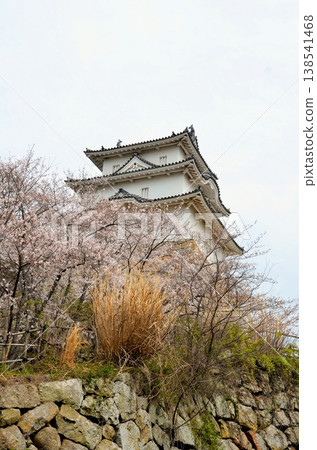 Akashi Castle Kon Yagura Akashi Castle Kon Yagura 138541468
