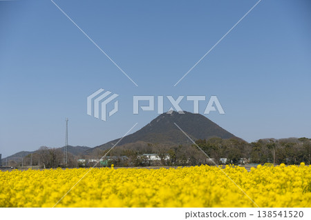 Spring in full bloom, Mount Omi and rape blossoms 2 Spring in full bloom, Mount Omi and rape blossoms 2 138541520
