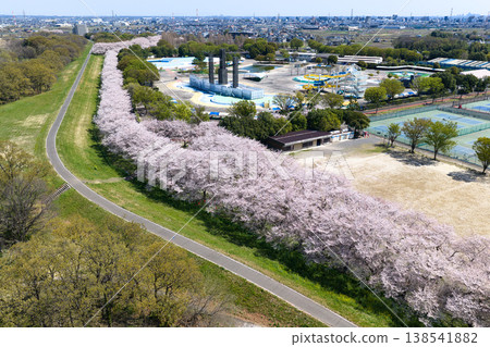 Hot Stuff Kawagoe Park (Kawagoe Park) - Cherry blossom trees in full bloom, Kawagoe City, Saitama Prefecture (Aerial photography by drone) 138541882