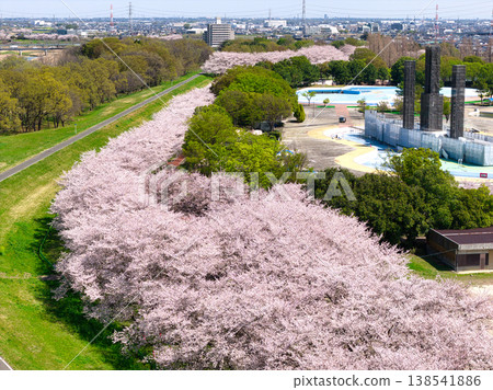 Hot Stuff Kawagoe Park (Kawagoe Park) - Cherry blossom trees in full bloom, Kawagoe City, Saitama Prefecture (Aerial photography by drone) 138541886