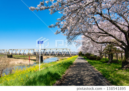 Cherry blossom trees in full bloom along the Irumagawa River and the Tobu Tojo Line, Kawagoe City, Saitama Prefecture Cherry blossom trees in full bloom along the Irumagawa River and the Tobu Tojo Line, Kawagoe City, Saitama Prefecture 138541895