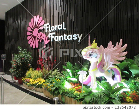 Singapore Floral Fantasy 138542078