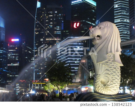 新加坡:魚尾獅和摩天大樓,夜景 新加坡:魚尾獅和摩天大樓,夜景 138542123