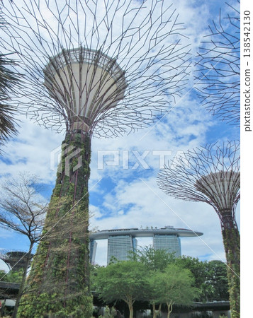 Singapore: Supertrees at Gardens by the Bay and Marina Bay Sands Singapore: Supertrees at Gardens by the Bay and Marina Bay Sands 138542130
