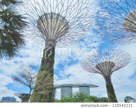 新加坡:濱海灣花園與濱海灣金沙的擎天樹 新加坡:濱海灣花園與濱海灣金沙的擎天樹 138542131
