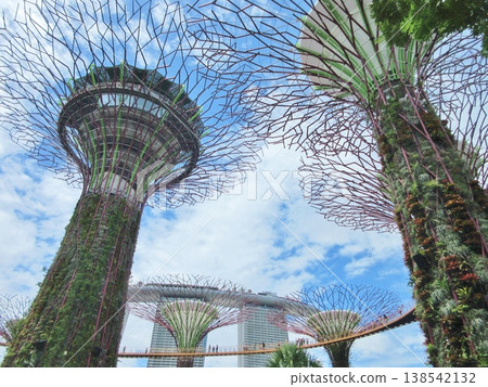 Singapore: Supertrees at Gardens by the Bay and Marina Bay Sands Singapore: Supertrees at Gardens by the Bay and Marina Bay Sands 138542132
