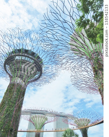 Singapore: Supertrees at Gardens by the Bay and Marina Bay Sands Singapore: Supertrees at Gardens by the Bay and Marina Bay Sands 138542133
