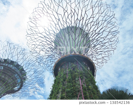 Singapore: Supertrees at Gardens by the Bay and Marina Bay Sands Singapore: Supertrees at Gardens by the Bay and Marina Bay Sands 138542136