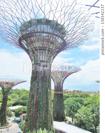 Singapore: Supertrees at Gardens by the Bay and Marina Bay Sands Singapore: Supertrees at Gardens by the Bay and Marina Bay Sands 138542137