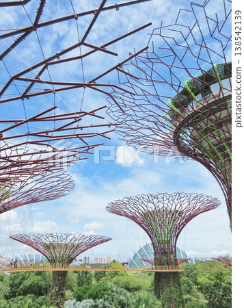 Supertrees at Gardens by the Bay, Singapore Supertrees at Gardens by the Bay, Singapore 138542139
