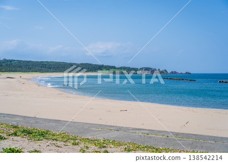 青森縣八戶市種差海岸初夏鮮花盛開 青森縣八戶市種差海岸初夏鮮花盛開 138542214