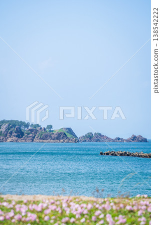 "Aomori Prefecture" Flowers bloom on the shore in early summer at Tanesashi Coast, Hachinohe City "Aomori Prefecture" Flowers bloom on the shore in early summer at Tanesashi Coast, Hachinohe City 138542222