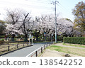 Cherry blossoms at Kurogane Park 2026 (from the site of Musashi Kokubun-niji Temple in Kokubunji City, Tokyo) 138542252