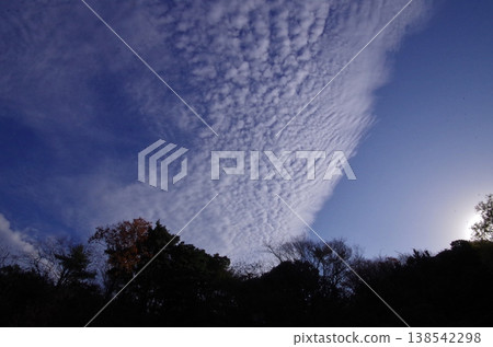 A straight line of clouds over the forest of Kyushu University, Sasaguri 138542298