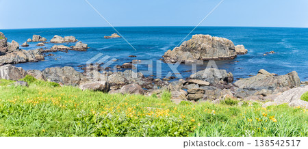 "Aomori Prefecture" Flowers bloom on the shore in early summer at Tanesashi Coast, Hachinohe City "Aomori Prefecture" Flowers bloom on the shore in early summer at Tanesashi Coast, Hachinohe City 138542517