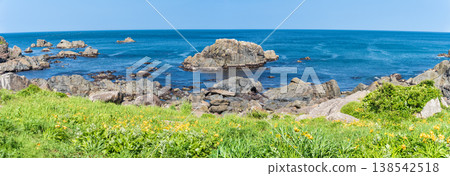 "Aomori Prefecture" Flowers bloom on the shore in early summer at Tanesashi Coast, Hachinohe City 138542518