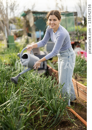 Female farmer waters green onions from watering can in her garden Female farmer waters green onions from watering can in her garden 138542556