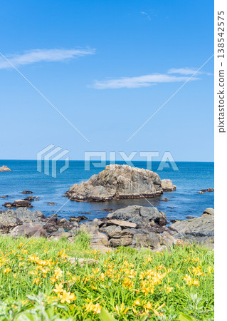 "Aomori Prefecture" Flowers bloom on the shore in early summer at Tanesashi Coast, Hachinohe City "Aomori Prefecture" Flowers bloom on the shore in early summer at Tanesashi Coast, Hachinohe City 138542575